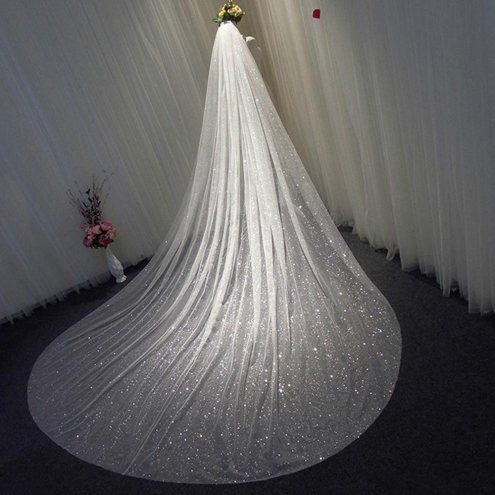 Big Tail Veil Wedding Dress Accessories Studio Photo